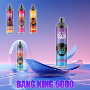Bang King 6000 Puffs 0% 2% 3% 5% Nicotine Disposable Pod vape Wholesale