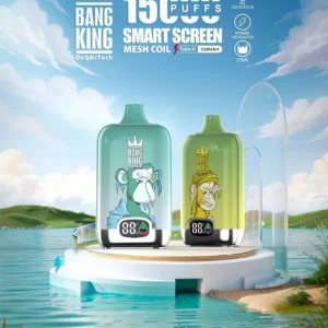 Bang King smartscreen 15000 Puffs 0% 2% 3% 5% Nicotine Rechargeable Disposable Vape Wholesale