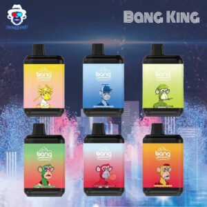 Bang King 8000 Puffs 0% 2% 3% 5% Nicotine Disposable Vape Wholesale